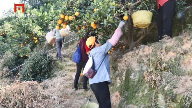 【聚焦两会】人大代表、政协委员热议政府工作报告