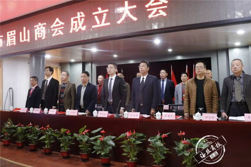 刚刚 南安市眉山商会成立,叶至峰当选会长