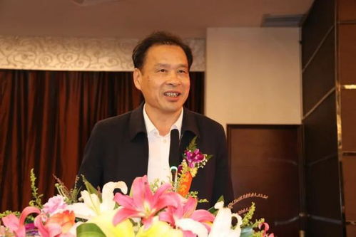 永安南安商会换届,洪梅黄书森连任会长